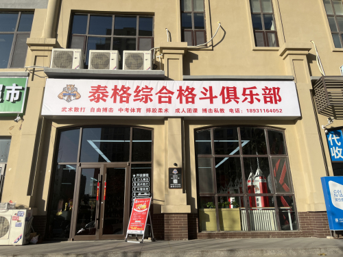 泰格综合格斗俱乐部