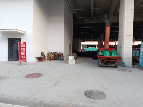 世雷精品蒜苔