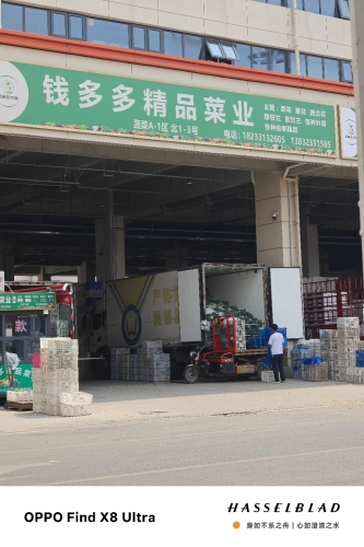 钱多多精品菜业(农批中心店)