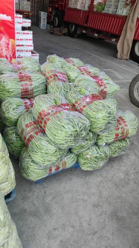 盛世菜业
