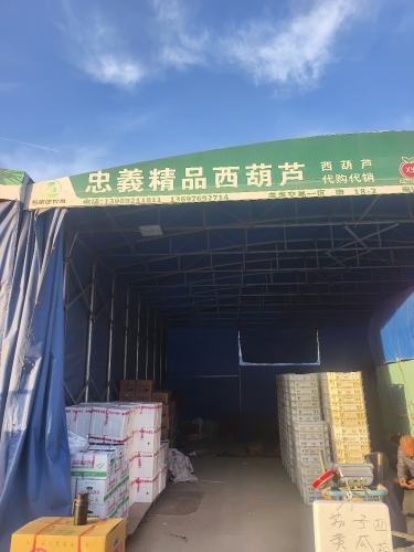 忠义精品西葫芦