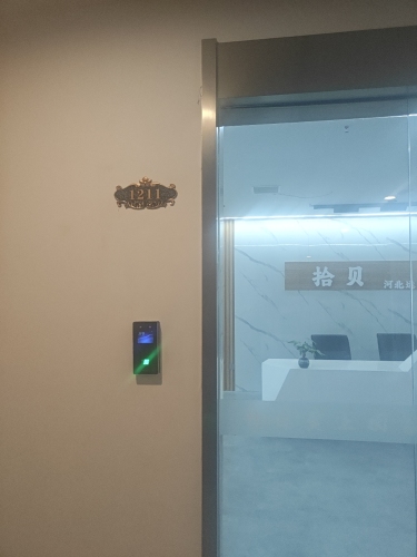 拾贝装饰
