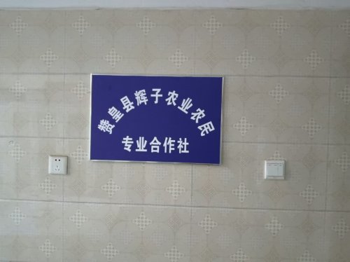窦家寨辉子农业