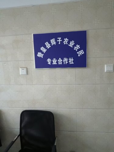 窦家寨辉子农业