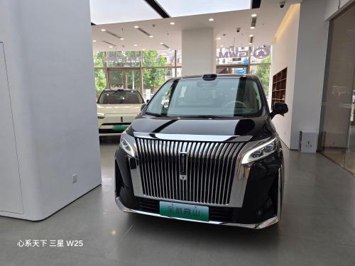 魏牌新能源(石家庄)欢乐汇零售中心