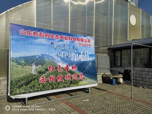 山东新盈创生态农业科技有限公司(平山分公司)
