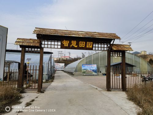 山东新盈创生态农业科技有限公司(平山分公司)
