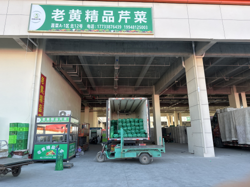 老黄精品芹菜