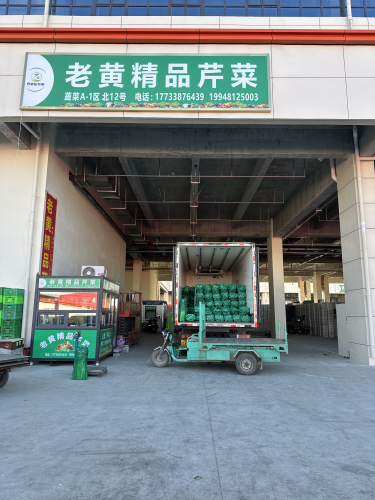 老黄精品芹菜