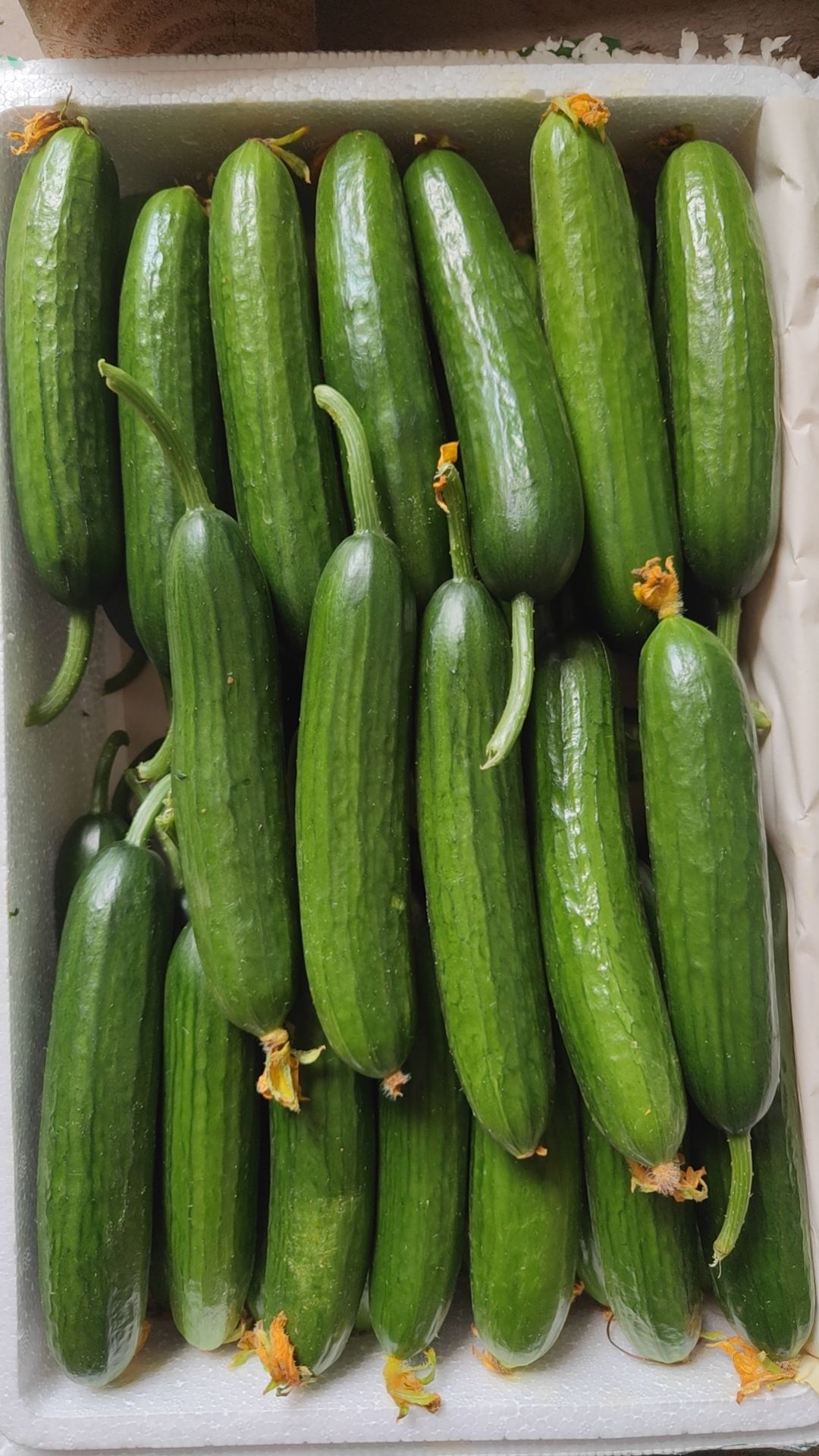 石家庄奥盛食品有限公司