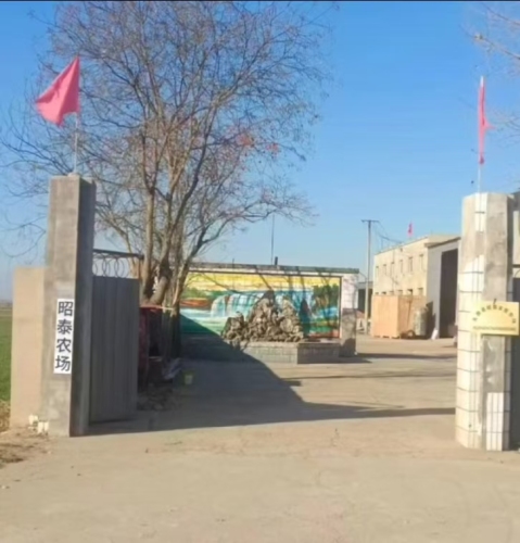 无极县昭泰家庭农场