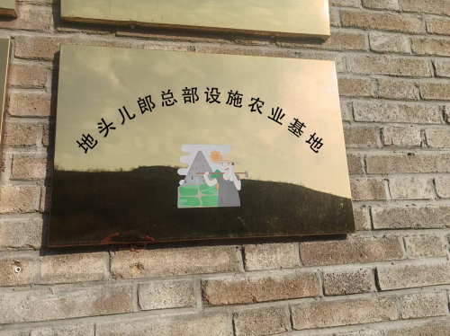 地头儿郎总部设施农业基地