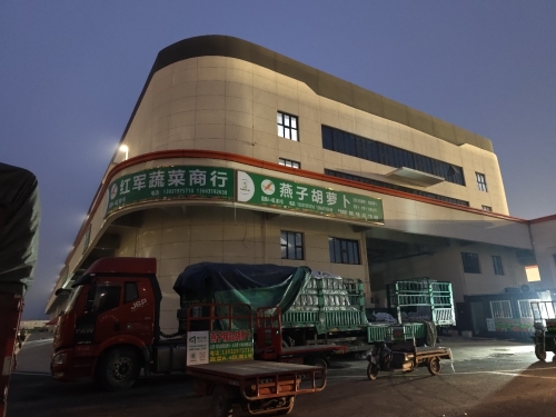 燕子胡萝卜(红军蔬菜商行)