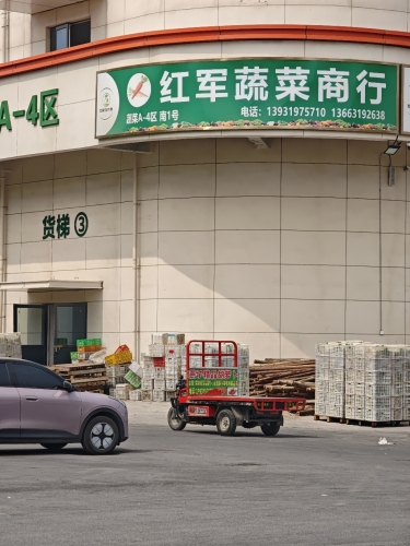 燕子胡萝卜(红军蔬菜商行)