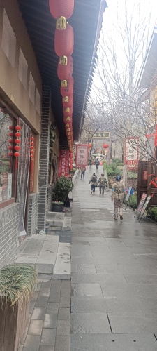 西部长青俏阿蛮酸辣粉