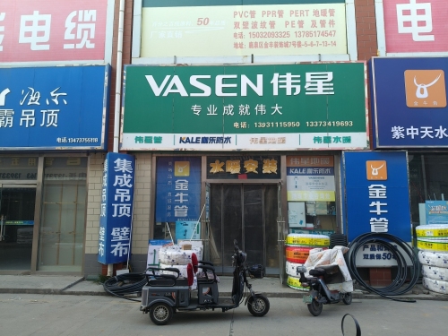 VASEN伟星