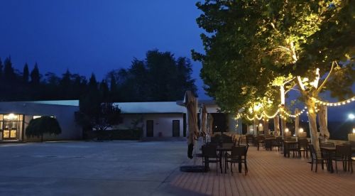 锁云湖·湖畔花园酒店