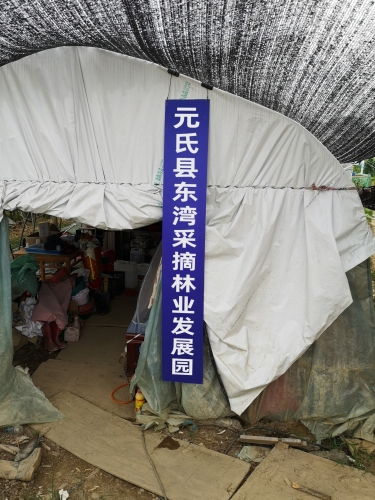 元氏县东湾采摘林业发展园