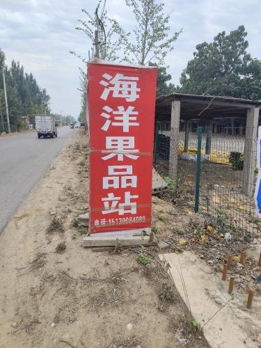 东张口海洋果品站
