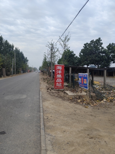 东张口海洋果品站