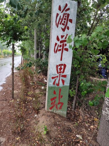 东张口海洋果品站