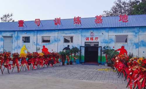 壹号乒乓球训练基地