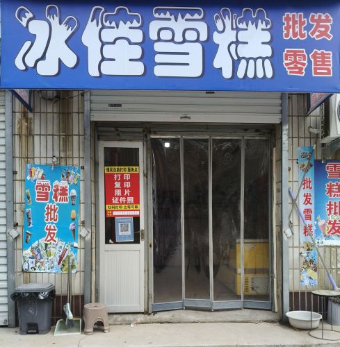 冰佳雪糕批发零售