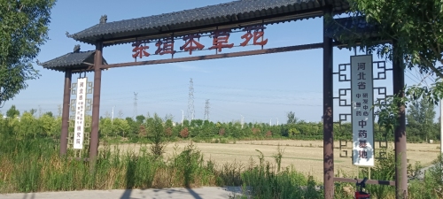 东垣本草苑