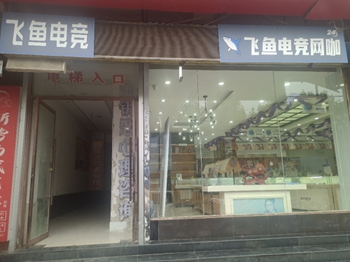 飞鱼电竞网咖(金鼎商厦凤中路店)