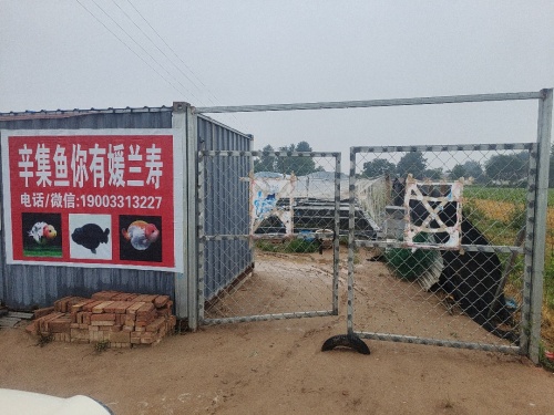 鱼你有媛渔场