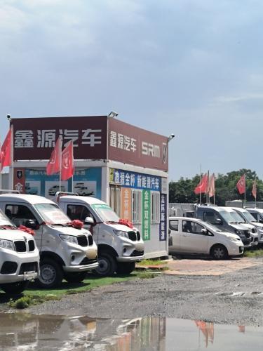 鑫源金杯汽车(河北陆丰庞大店)