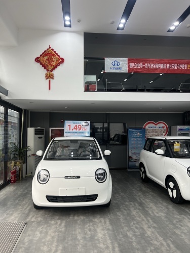 长安凯程(石家庄睿朝店)