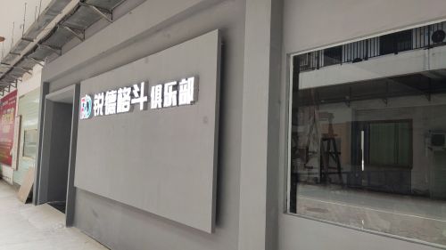 锐德格斗俱乐部