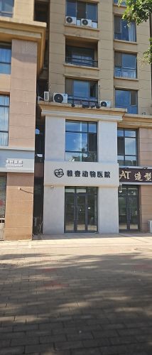 桥西区惟壹动物医院