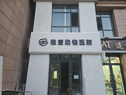 桥西区惟壹动物医院