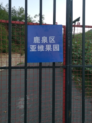 鹿泉区亚维果园