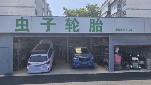 虫子轮胎