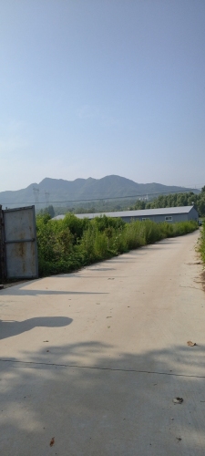 韩台仙桃采摘基地