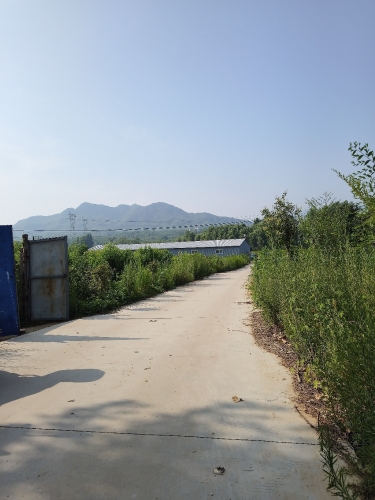 韩台仙桃采摘基地