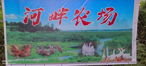 河畔农场