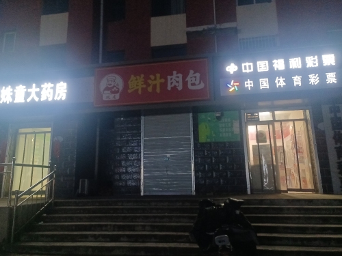 鲜汁肉包