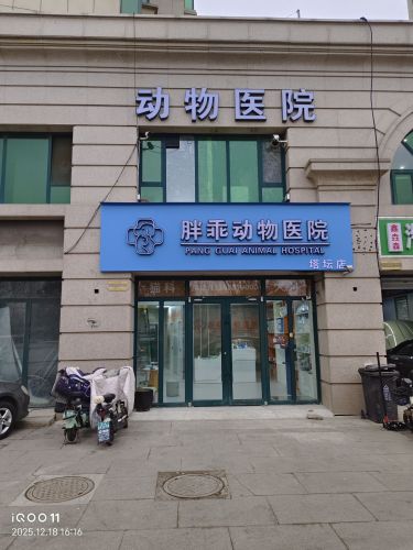 胖乖动物医院塔坛店