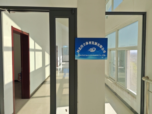 河北得立体育发展有限公司