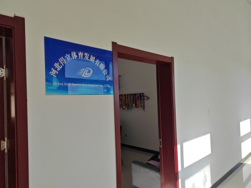 河北得立体育发展有限公司