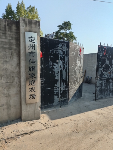 定州市佳旗家禽农场