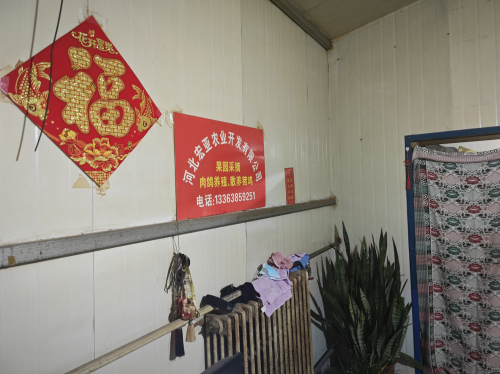 河北宏亚农业开发有限公司