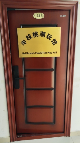 半枝桃潮玩馆