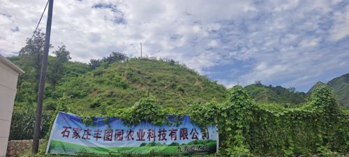 九寿草农庄