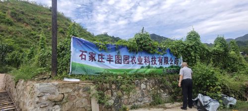 九寿草农庄