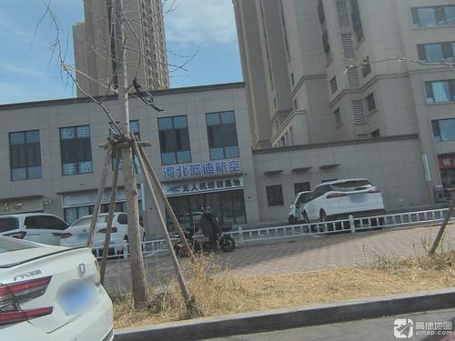 河北蓝迪航空科技有限公司